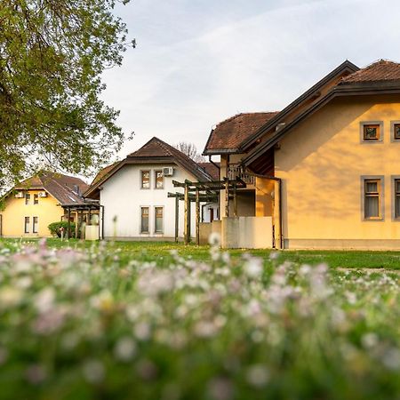 Terme Banovci - Hotelsko Naselje Zeleni Gaj Екстериор снимка