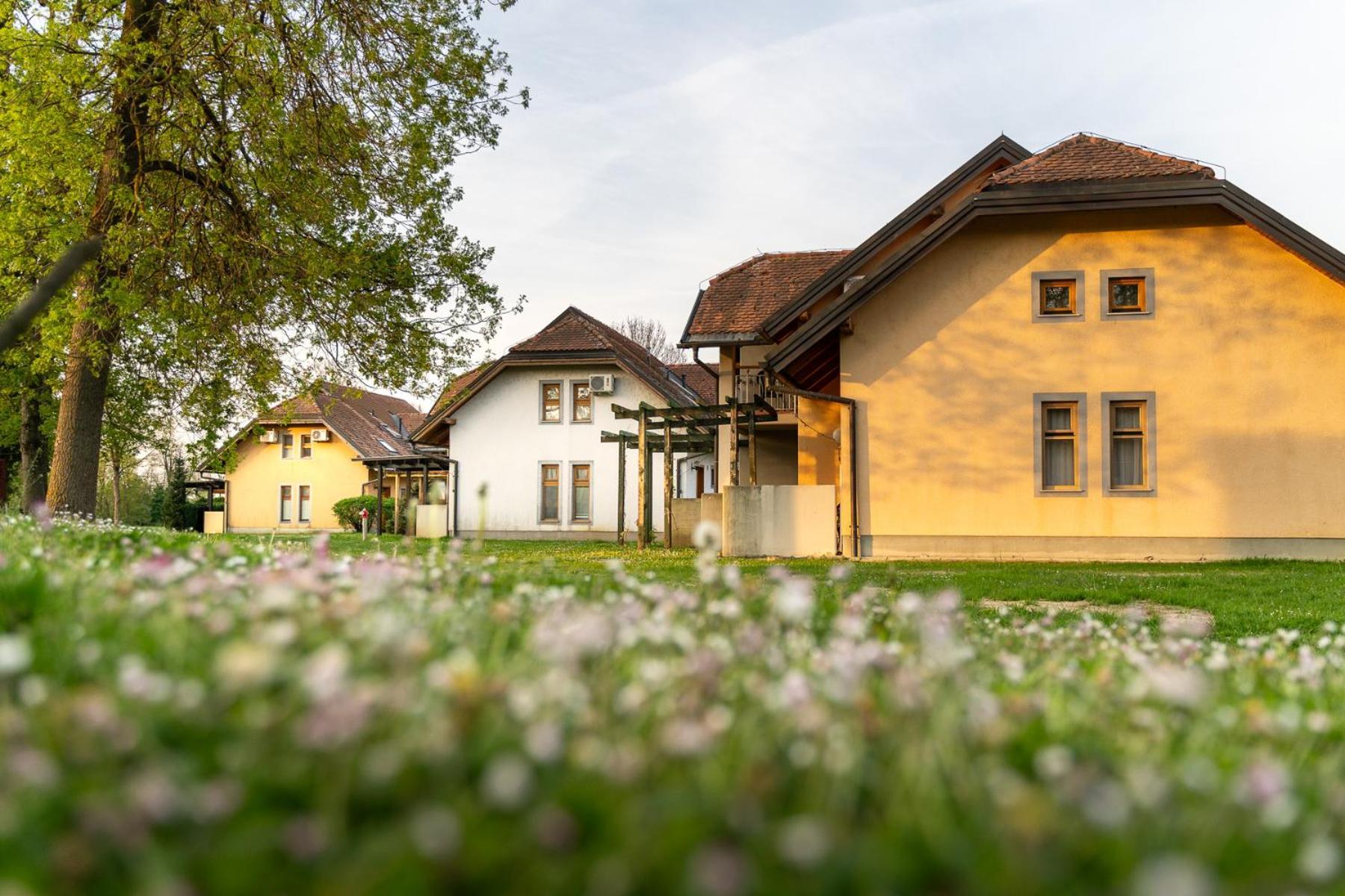 Terme Banovci - Hotelsko Naselje Zeleni Gaj Екстериор снимка